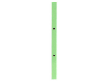 EXACOMPTA Classeur Iderama, 2 anneaux, A4, vert anis