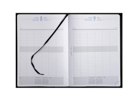 EXACOMPTA Agenda de bureau 'Journal 29/1', 2026, noir