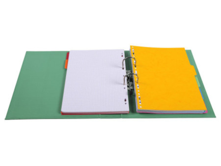 EXACOMPTA Classeur à levier PVC Premium, A4, vert anis