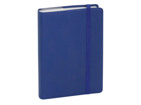 EXACOMPTA Agenda de poche Journal 13 Quadrillé 2026, assorti