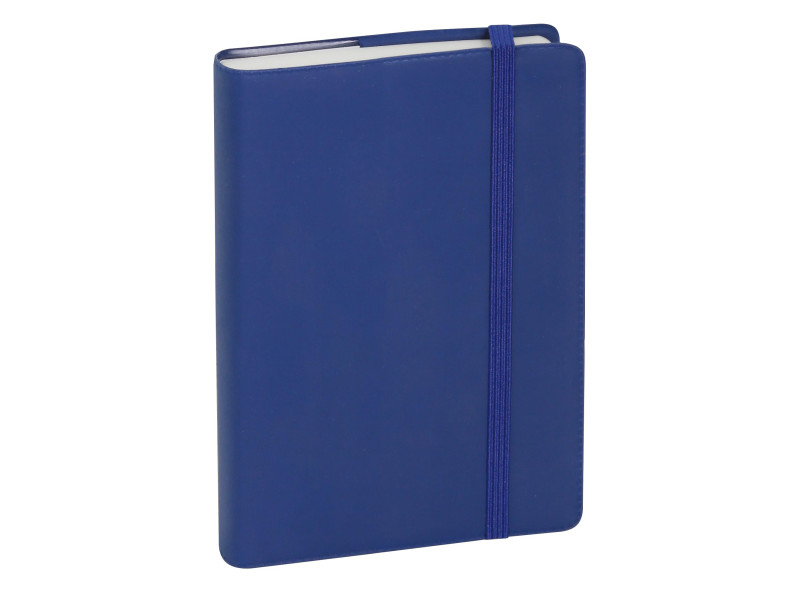 EXACOMPTA Agenda de poche Journal 13 Quadrillé 2026, assorti