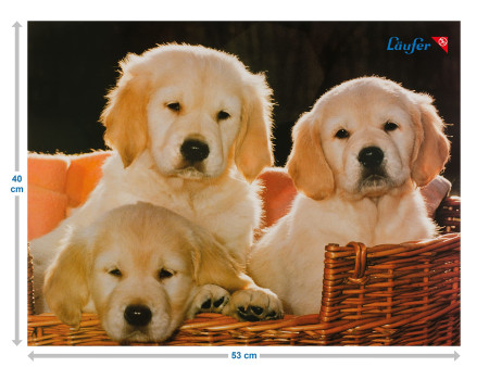Läufer Sous-main chiens, 400 x 530 mm