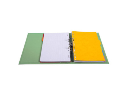 EXACOMPTA Classeur à levier PVC Premium, A4, 50 mm,vert anis