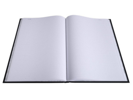 EXACOMPTA Registre quadrillé 5/5 folioté, 350 x 225 mm