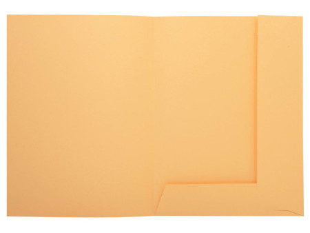 EXACOMPTA Chemise à rabats SUPER 250, A4, carton, bulle
