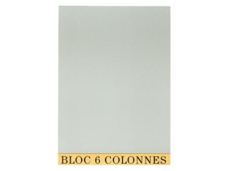 EXACOMPTA Bloc de contrôle comptable, 297 x 210 mm