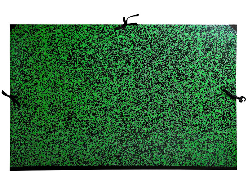 EXACOMPTA Carton à dessin Annonay, 750 x 1.050 mm, vert