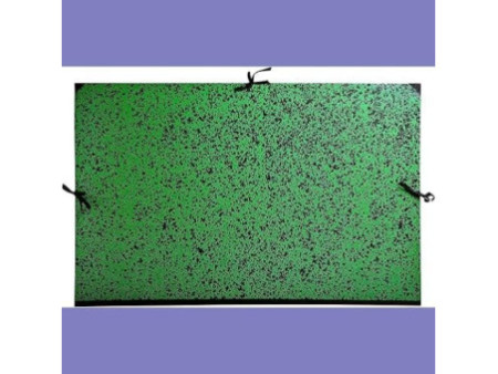 EXACOMPTA Carton à dessin Annonay, 750 x 1.050 mm, vert