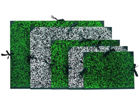 EXACOMPTA Carton à dessin, 590 x 720 mm, carton, vert / noir
