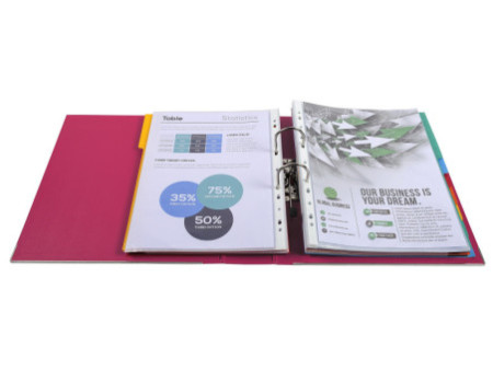 EXACOMPTA Classeur à levier PP Premium, A4, 80 mm, framboise