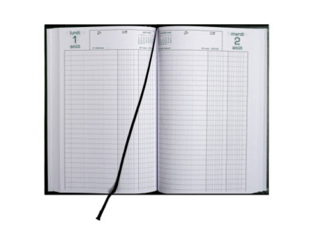 EXACOMPTA Agenda de bureau Raisin, 2026, assorti