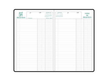 EXACOMPTA Agenda de bureau Raisin, 2026, assorti
