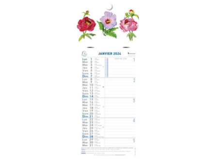 EXACOMPTA Calendrier mural, 130 x 230 mm, 2026, fond Fleurs