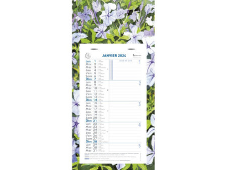 EXACOMPTA Calendrier mural, 130 x 230 mm, 2026, fond Fleurs