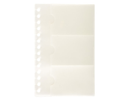 EXACOMPTA Pochettes pour cartes de visite EXACARD