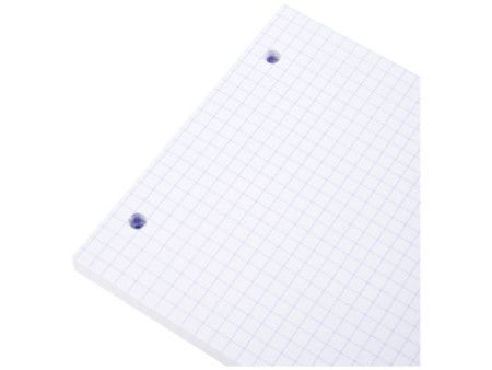 EXACOMPTA Fiches bristol, 125 x 200 mm, quadrillé, blanc