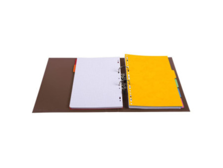 EXACOMPTA Classeur à levier PVC Premium, A4, 50 mm, marron