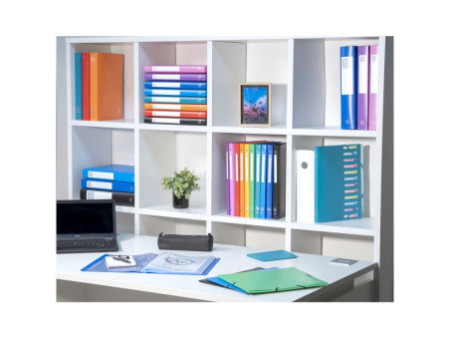EXACOMPTA Classeur souple, PP, 4 anneaux, A4, bleu clair