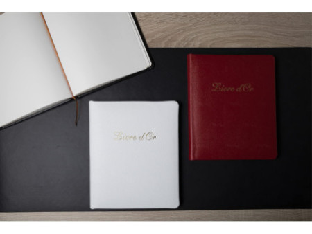 EXACOMPTA Livre d'Or Alpille, 220 x 260 mm, blanc