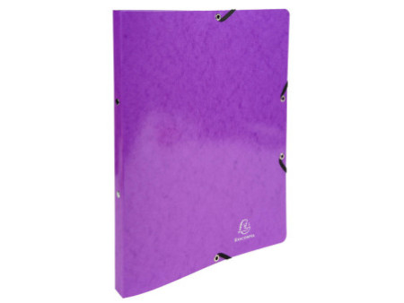 EXACOMPTA Classeur à anneaux Iderama, 2 anneaux, A4, violet