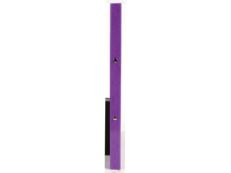 EXACOMPTA Classeur à anneaux Iderama, 2 anneaux, A4, violet