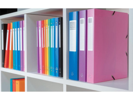 EXACOMPTA Boîte de classement Opaque, PP, 25 mm, assorti