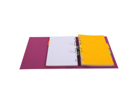 EXACOMPTA Classeur à levier PVC Premium, A4, 70 mm, assorti