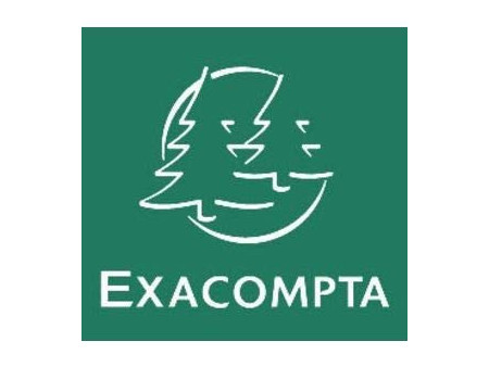 EXACOMPTA Fiches bristol, A7, ligné, rose