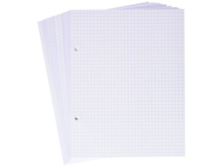EXACOMPTA Fiches bristol, 170 x220 mm, quadrillé, blanc