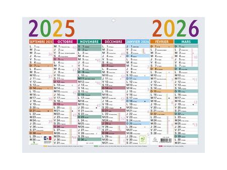 EXACOMPTA Calendrier Multicolore 2026, 650 x 405 mm