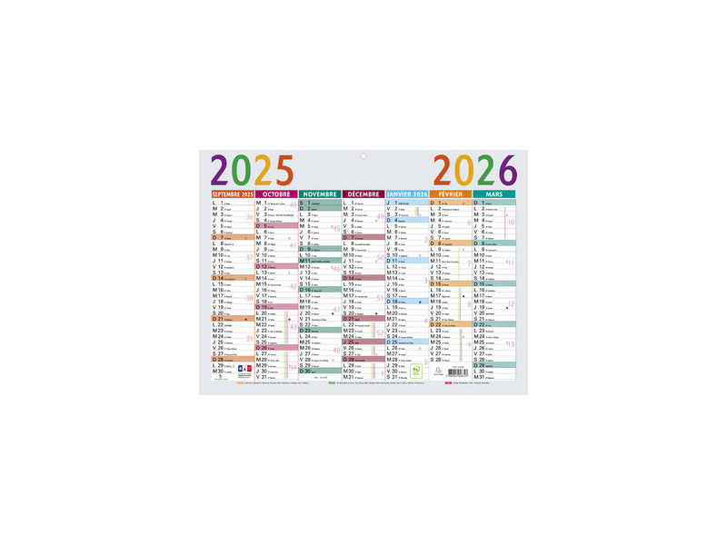EXACOMPTA Calendrier Multicolore 2026, 650 x 405 mm