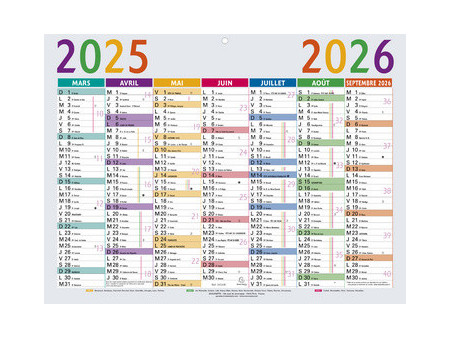 EXACOMPTA Calendrier Multicolore 2026, 650 x 405 mm