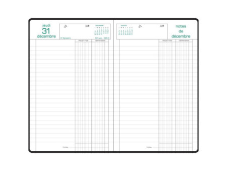 EXACOMPTA Agenda Carré Recettes/Dépenses, 2026, assorti
