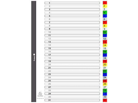 EXACOMPTA Intercalaires à chiffre, 1-31, A4+, 31 touches