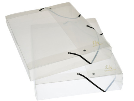 EXACOMPTA Boîte de classement Crystal, PP, 40 mm, cristal