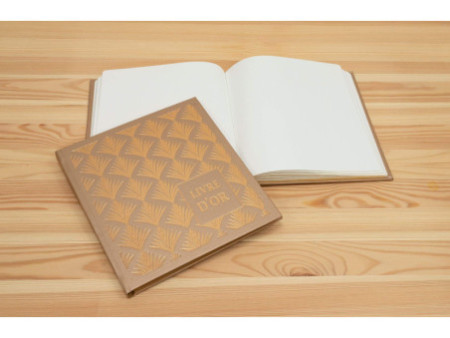 EXACOMPTA Livre d'Or Palmyre, 210 x 190 mm, or/nude