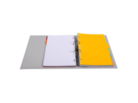 EXACOMPTA Classeur à levier PVC Premium, A4, 50 mm, gris