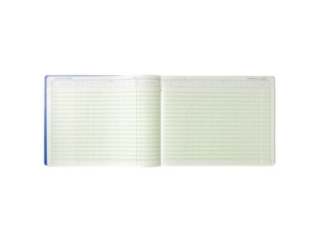 EXACOMPTA Piqûre 'Journal de caisse ou banque', 297 x 380 mm