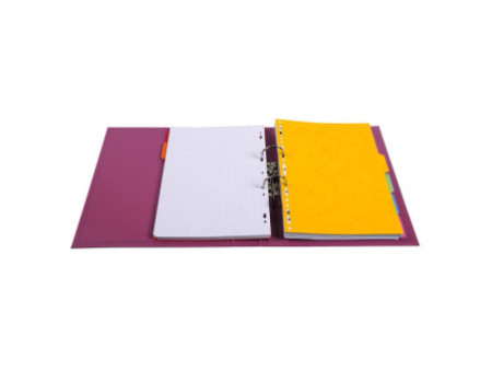 EXACOMPTA Classeur à levier PVC Premium, A4, 50 mm, fuchsia