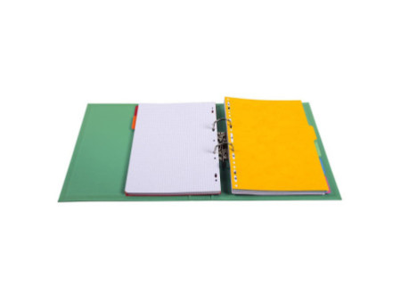 EXACOMPTA Classeur à levier PVC Premium, A4, 50 mm, vert