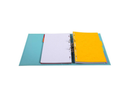 EXACOMPTA Classeur à levier PVC Premium, A4, vert clair