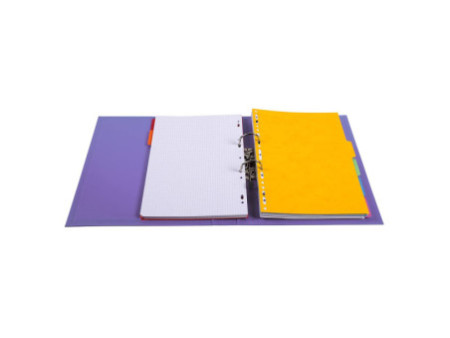 EXACOMPTA Classeur à levier PVC Premium, A4, violine