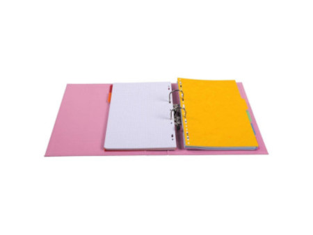 EXACOMPTA Classeur à levier PVC Premium, A4, rose