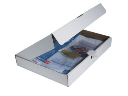 EXACOMPTA Pochette perforée, A4, PP, transparent