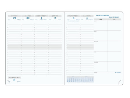 EXACOMPTA Agenda de bureau SAS 22 Non Stop, 2025/26, assorti