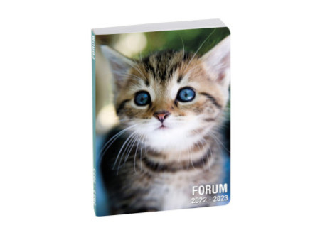 Clairefontaine Agenda scolaire FORUM, 2025/2026, Chat blanc