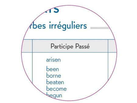 Clairefontaine Agenda scolaire FORUM, 2025/2026, Chat blanc