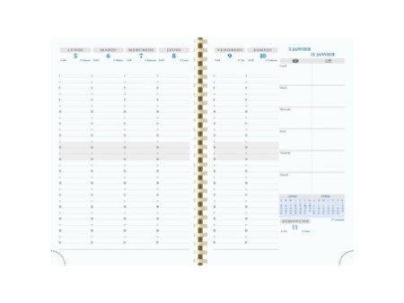 EXACOMPTA Agenda de bureau SAD 20S VERONE 2025/2026, 16 mois
