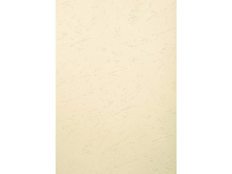 EXACOMPTA Couverture de reliure EVERCOVER, A3, ivoire