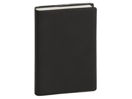 EXACOMPTA Agenda de poche MINI 11, 2026, Duo Kaa assorti